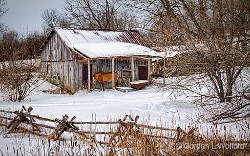 Rustic Horse Shed_06684.jpg - Photographed near Smiths Falls, Ontario, Canada.